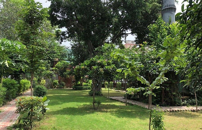 Community park after renovation